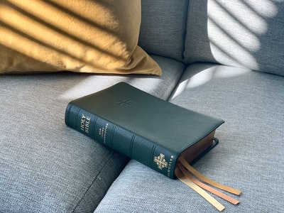 Gray sofa of black book
